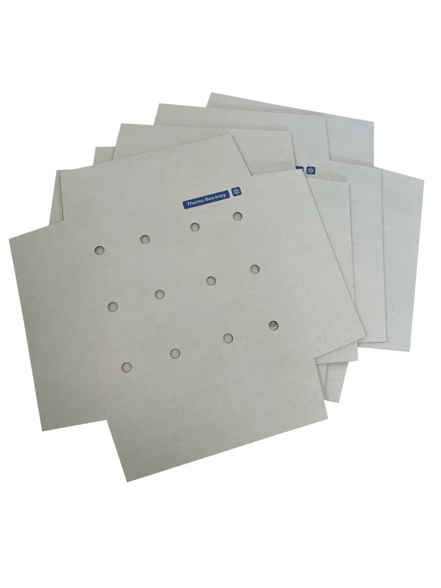 Kühl-Inlay für Thermobox (Trockeneis geeignet)